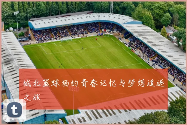 城北篮球场的青春记忆与梦想追逐之旅