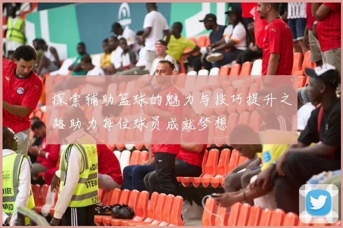 探索辅助篮球的魅力与技巧提升之路助力每位球员成就梦想