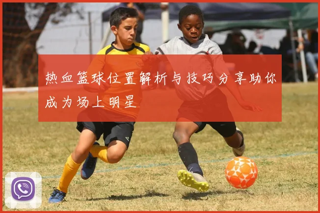 热血篮球位置解析与技巧分享助你成为场上明星