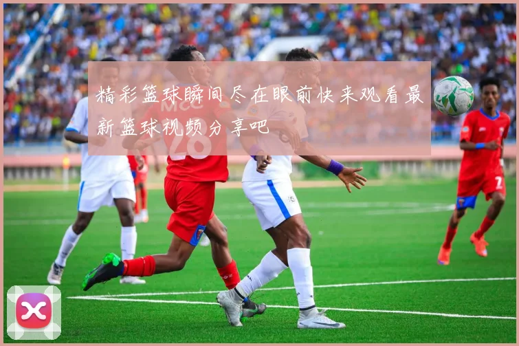 精彩篮球瞬间尽在眼前快来观看最新篮球视频分享吧